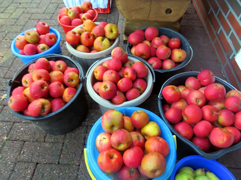 Streuobstwiese Heithöfen Inh. H.Premke in Bad Essen